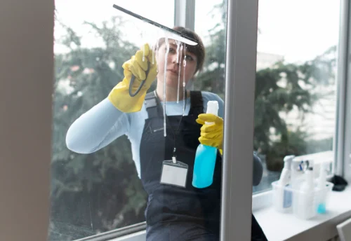 Nettoyage de vitres intérieures et extérieures à Creissels